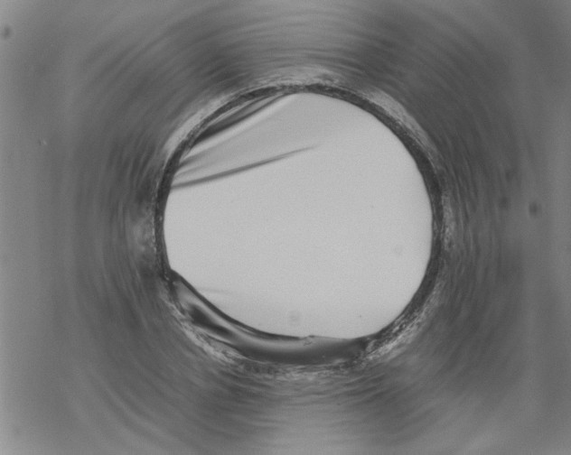 X0000067910834200605111940