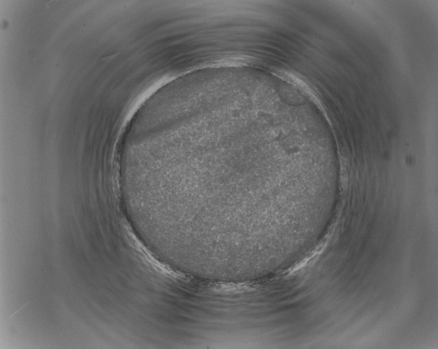 X0000067910835200605111940