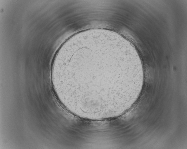 X0000067910836200605111940