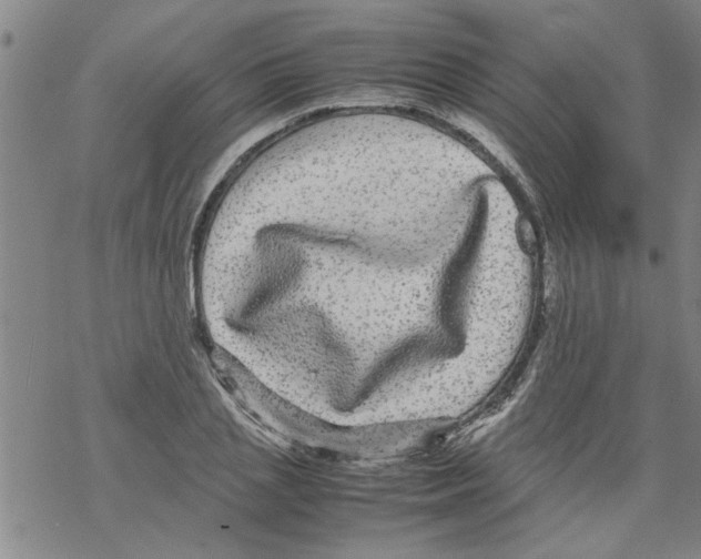 X0000067910837200605111940