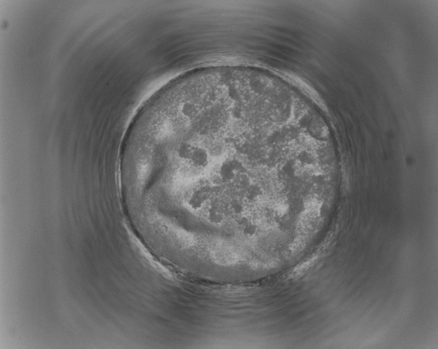 X0000067910839200605111940