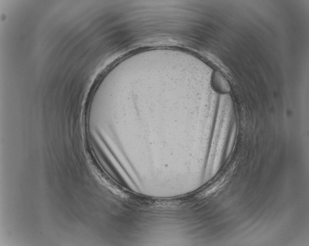 X0000067910840200605111940