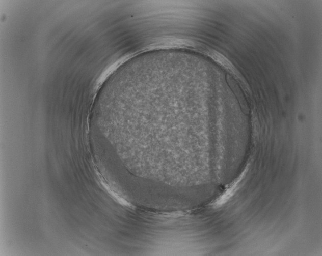 X0000067910842200605111940