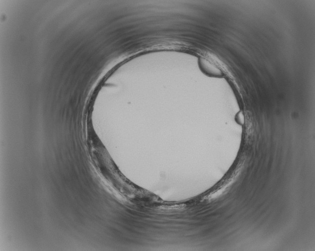 X0000067910843200605111940