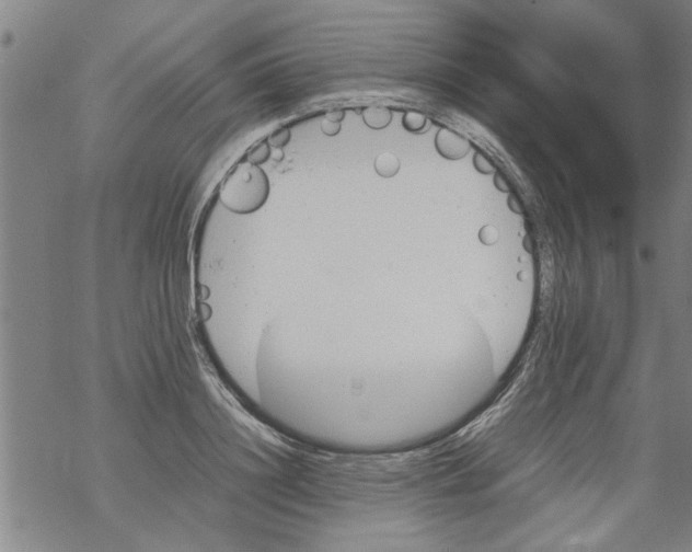 X0000067910844200605111941