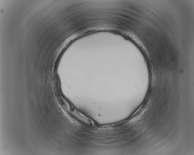 X0000067910845200605111941