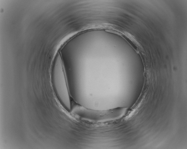 X0000067910846200605111941