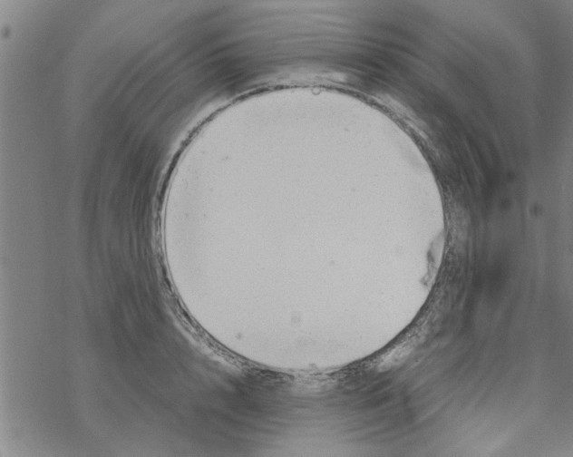 X0000067910848200605111941