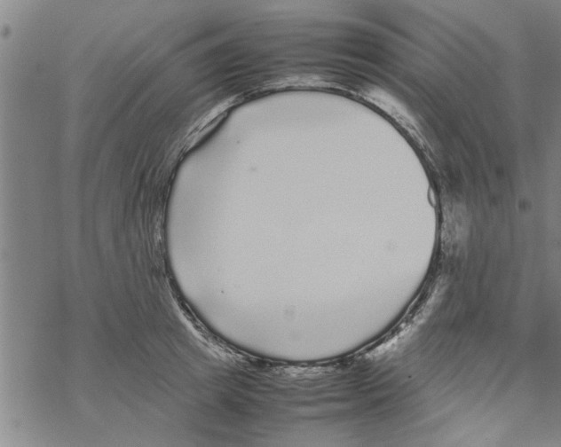 X0000067910849200605111941