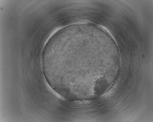 X0000067910851200605111941