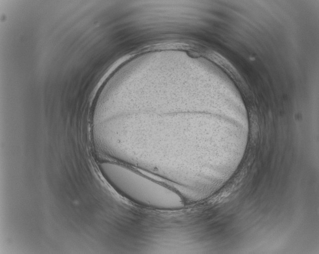 X0000067910852200605111941