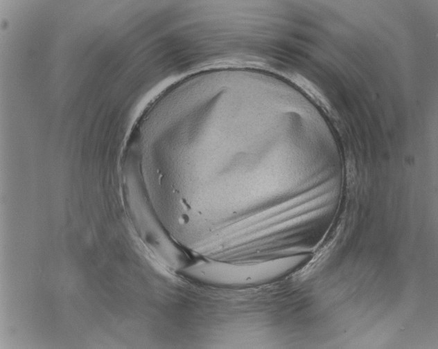 X0000067910854200605111941