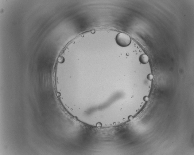 X0000067910856200605111941