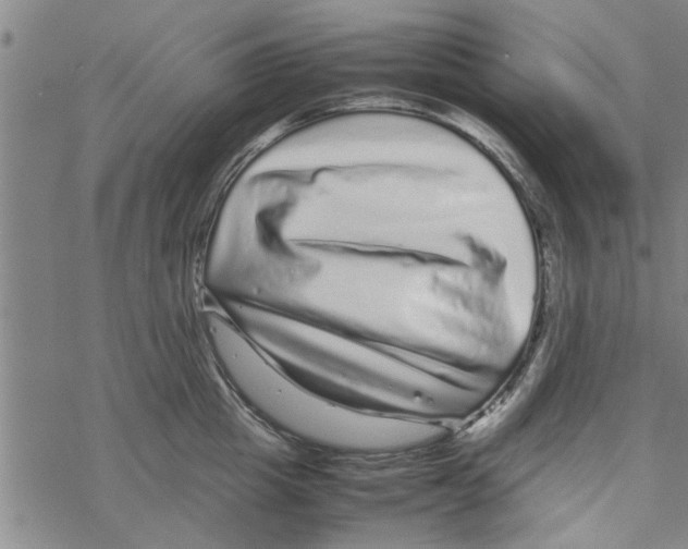 X0000067910857200605111941