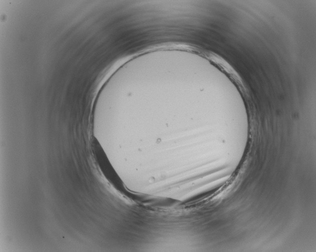 X0000067910860200605111941