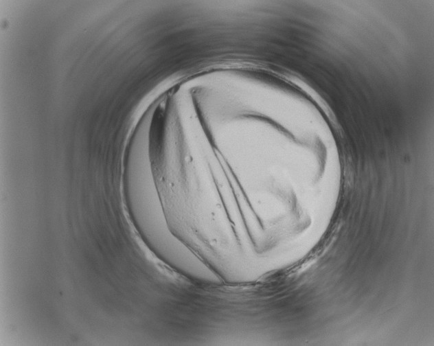 X0000067910861200605111941