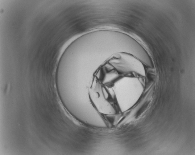 X0000067910862200605111941