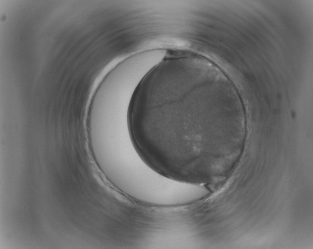 X0000067910864200605111941