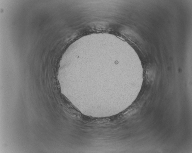 X0000067910865200605111940