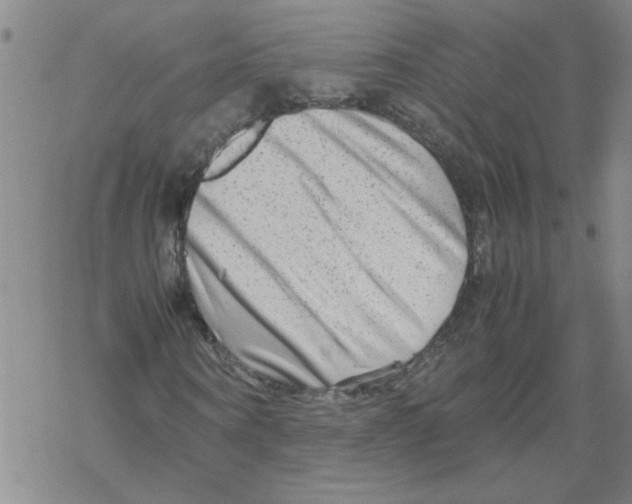 X0000067910866200605111940