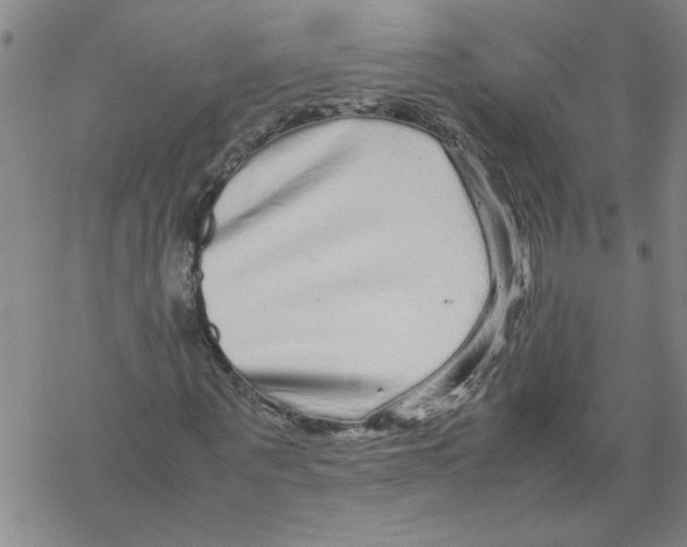 X0000067910867200605111940