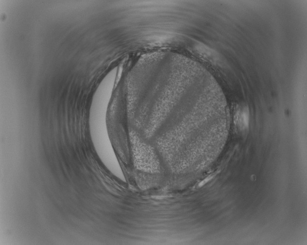 X0000067910868200605111940