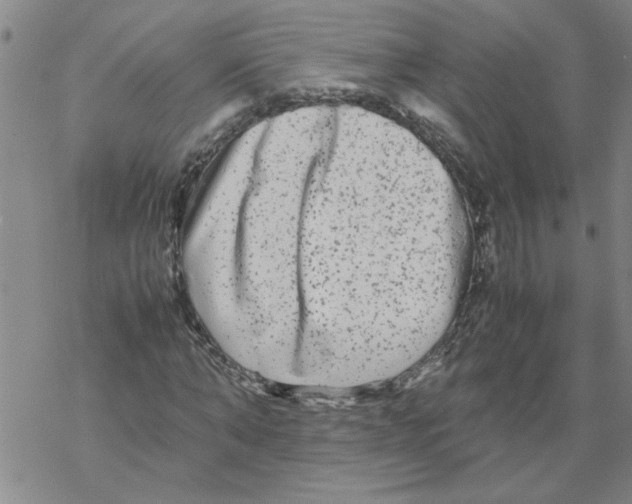 X0000067910870200605111940