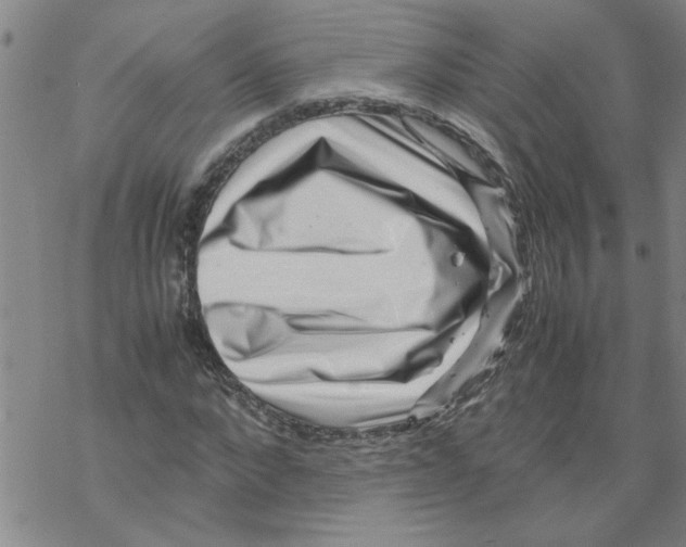 X0000067910872200605111940