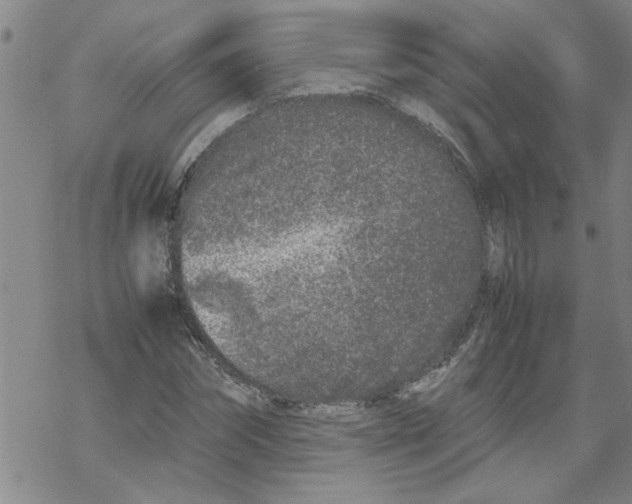 X0000067910874200605111940