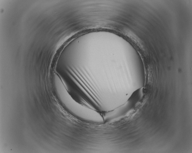 X0000067910876200605111940