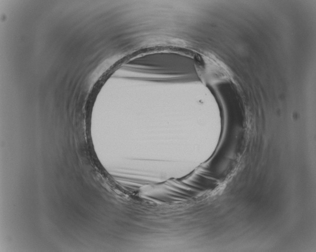 X0000067910877200605111940