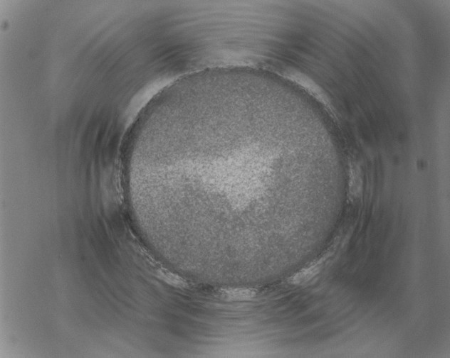 X0000067910878200605111940