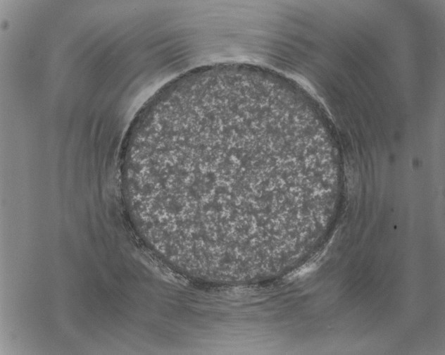 X0000067910879200605111940