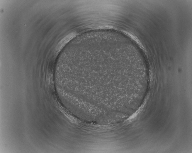 X0000067910881200605111940