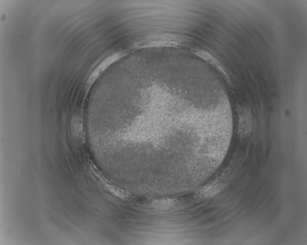 X0000067910882200605111940