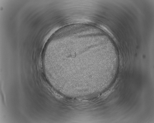 X0000067910883200605111940