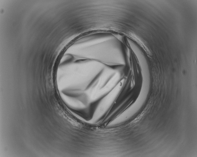 X0000067910884200605111940