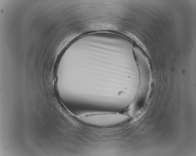 X0000067910885200605111940