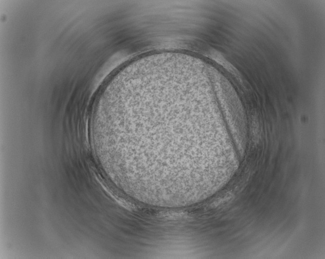 X0000067910886200605111940