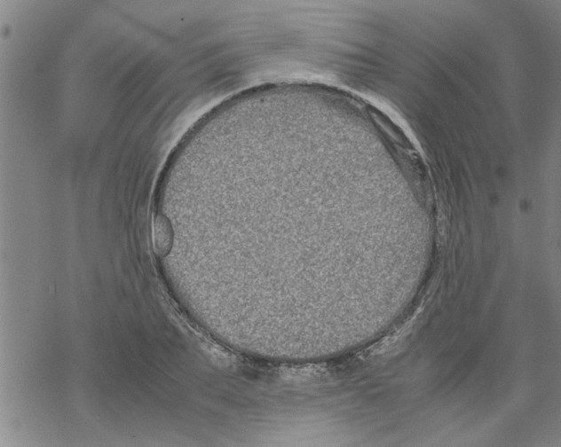 X0000067910887200605111940