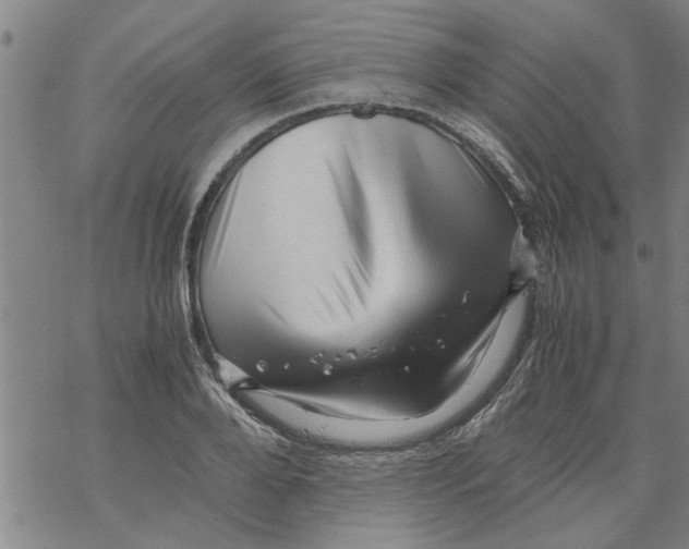 X0000067910888200605111940