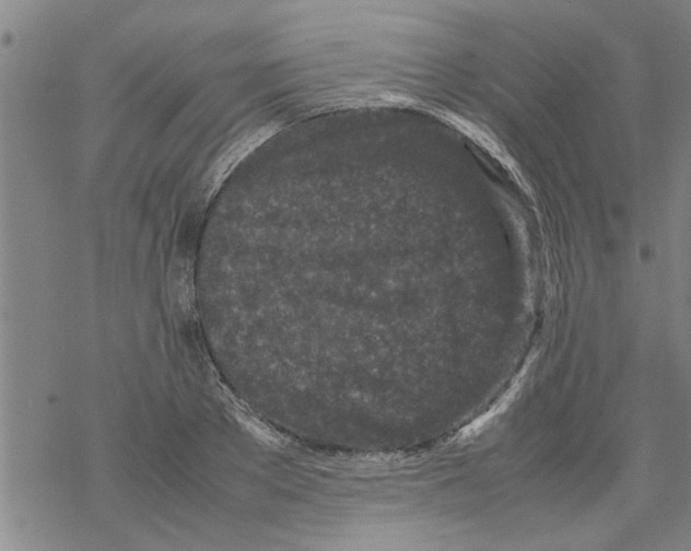 X0000067910889200605111940