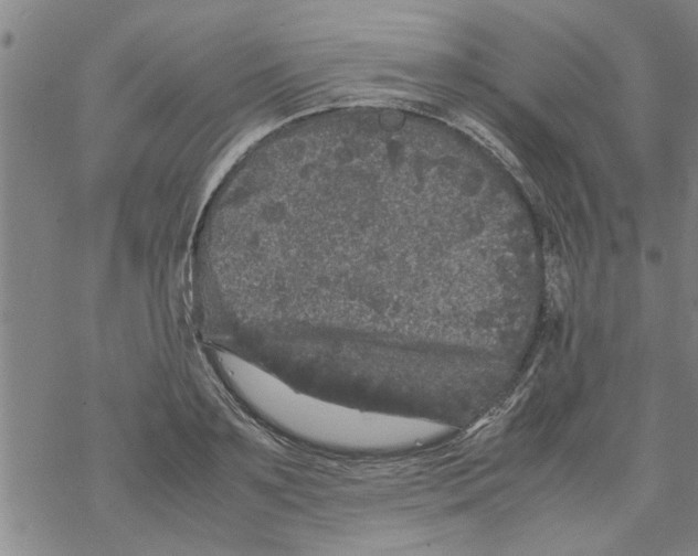 X0000067910891200605111940