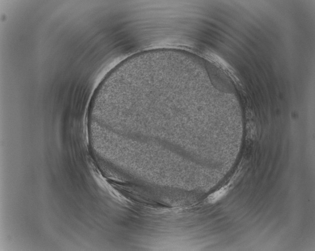 X0000067910892200605111940