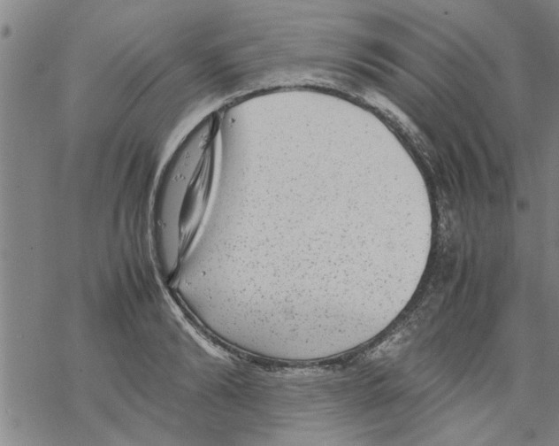 X0000067910894200605111940