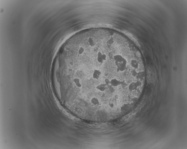 X0000067910895200605111940