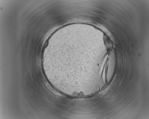 X0000067910896200605111940