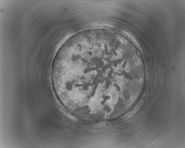 X0000067910899200605111940