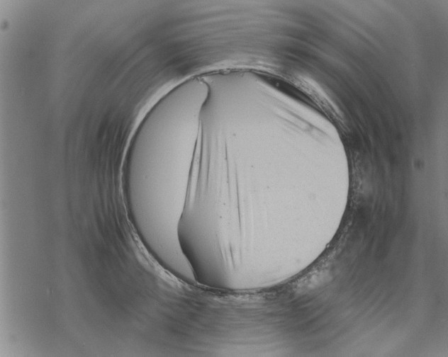 X0000067910900200605111939