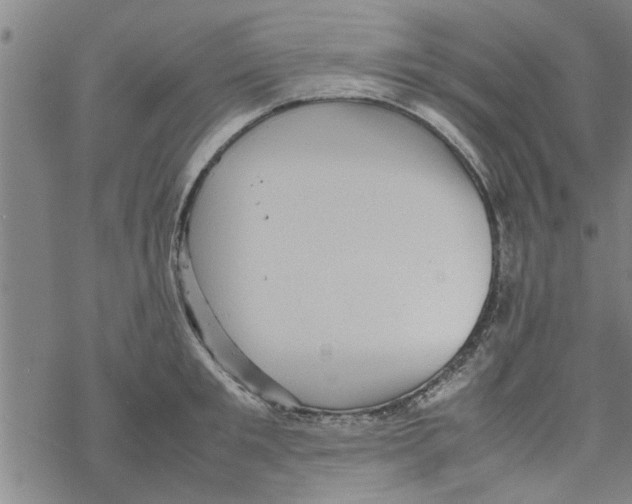 X0000067910901200605111939